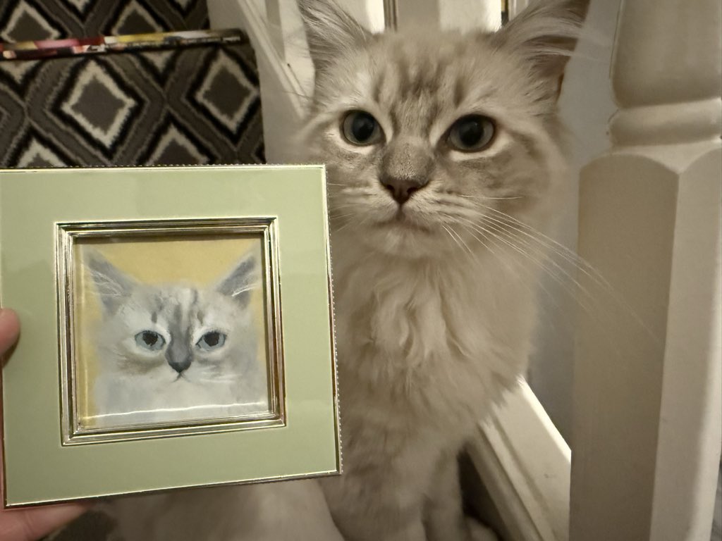 Sarah Evans tweet media