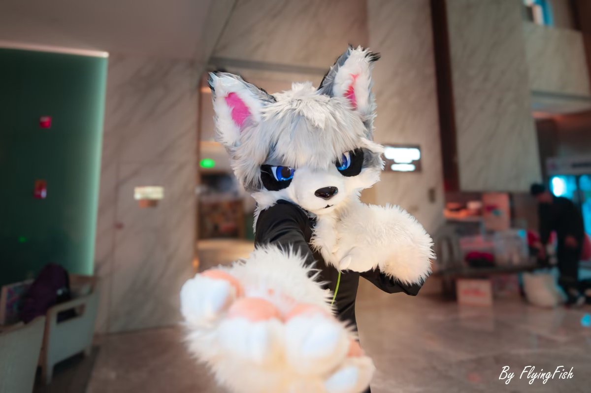 马上就要圣诞节了，来，一起去外面逛逛吧
📷 ： <a href="/fish1072297057/">Fly1ngFish飛魚♿絨獸匯♿R.I.P</a>