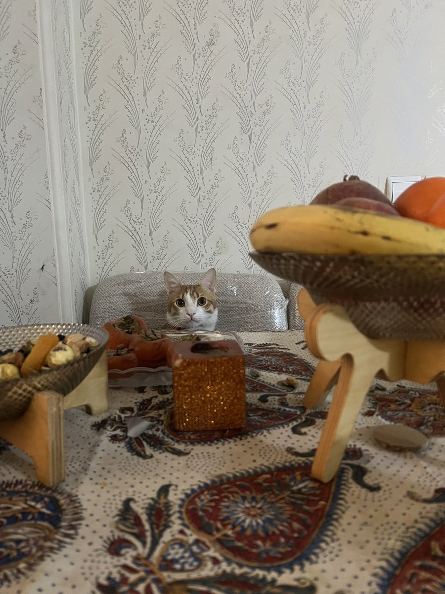 اومدم دیت با یه پسر بور