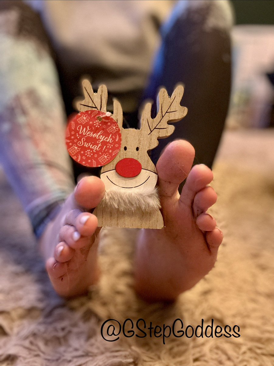 GStepGoddess's tweet image. Wigilia🎄🎅🏻
Ostatni moment, by złożyć słodki prezent u stóp swojej Pani.
Wysyłajcie świąteczne daniny– niech moje delikatne spody poczują ciężar waszego oddanie💸Bądźcie grzeczni❤️
#Findom #FootWorship
@rt_feet @rt_domm @justaslave15
@FeetToesSoles  @RT_PROMOTION_