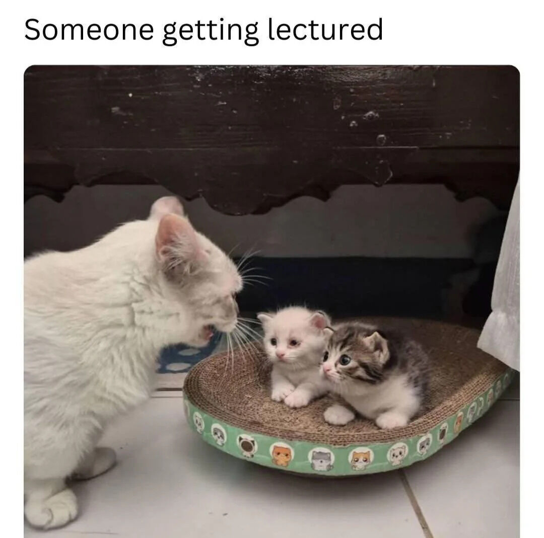 WholesomeMeme's tweet photo. https://t.co/PmtHlDGvCx
