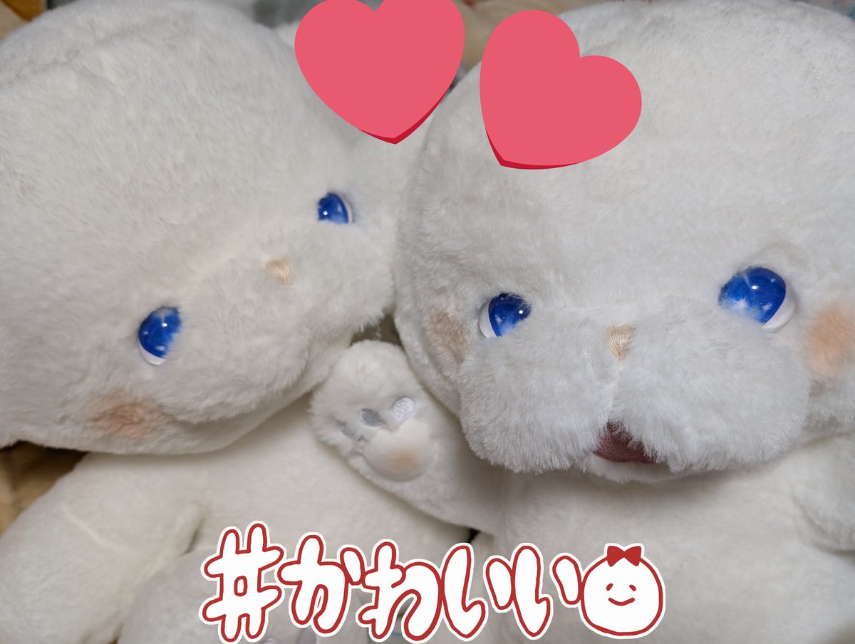 💭いとわたあめ💭美桜 (@itowataame) / Posts / X