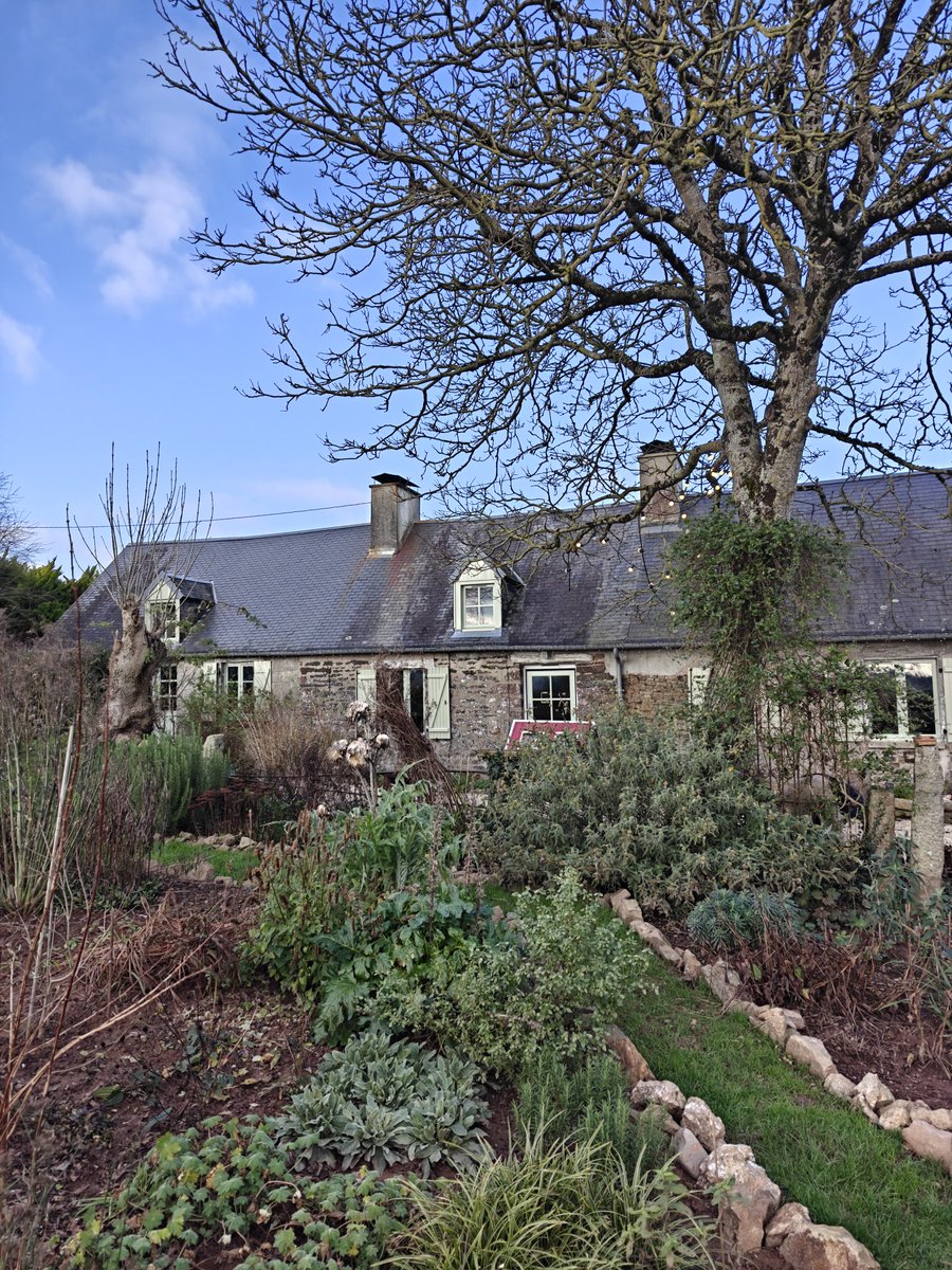 Joyeux Noël! 🎄🇫🇷