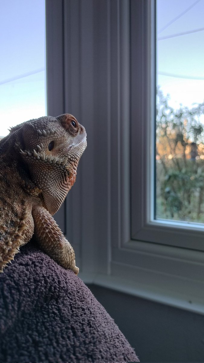 Waiting patiently for Santa