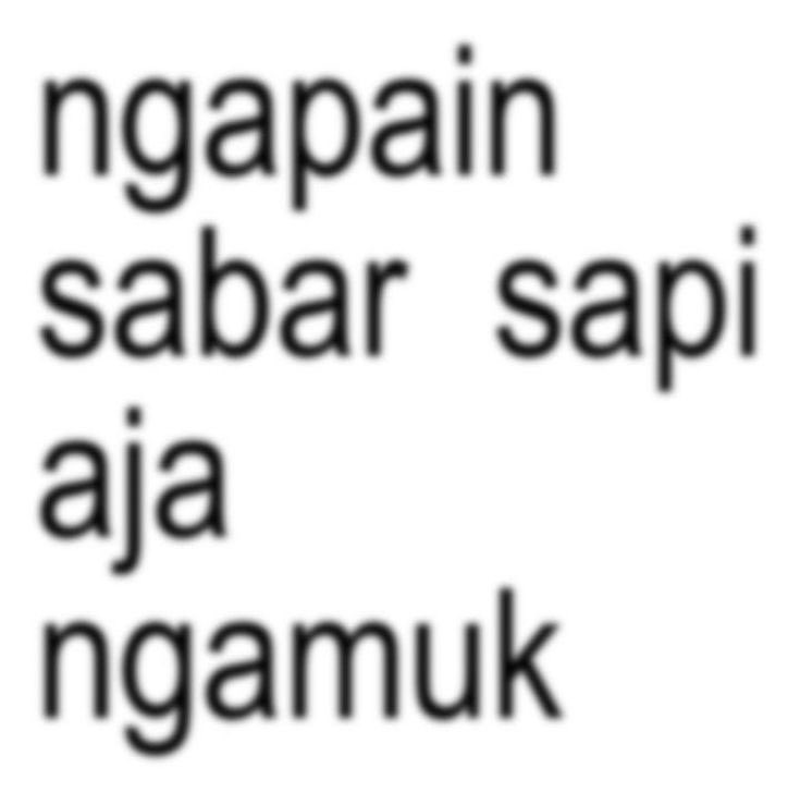 rubyackery's tweet image. mau jdi sapi biar bisa ngamuk