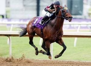 HORSERACING1002's tweet photo. GHOSTZAPPER🇺🇸2000
(AWESOME AGAIN - BABY ZIP BY RELAUNCH)
#Ghostzapper
B/O Adena Springs (Ky) April 6, 2000
T/ Robert J. Frankel
11-9-0-1---$3,446,120
2004 Champion 🏆 older horse & Horse of the year 🇺🇸
Breeder's Cup Classic G1, Metropolitan H G1, Vosburgh H G1, Woodward S G1, Philip H. Iselin Breeder's Cup G3, Tom Fool S G2
3rd King's Bishop S G1
NTR Lone Star Park 1¼ miles
1,59,02.
Stand Adena Springs Farm 🇺🇸🇨🇦, Hill 'n' Dale Farms Sired 98+ sw, Better Lucky, Contested, Goodnight Olive, Holy Helena, Hunter's Bay, Judy The Beauty, Moira, Moreno, Mystic Guide, Shaman Ghost, Stronghold, Sugesta, Paulasilverlining,
