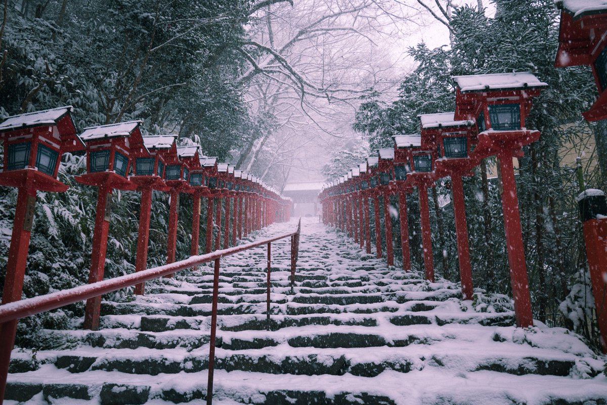 雪の降る朝の赤 雪の降る朝の赤