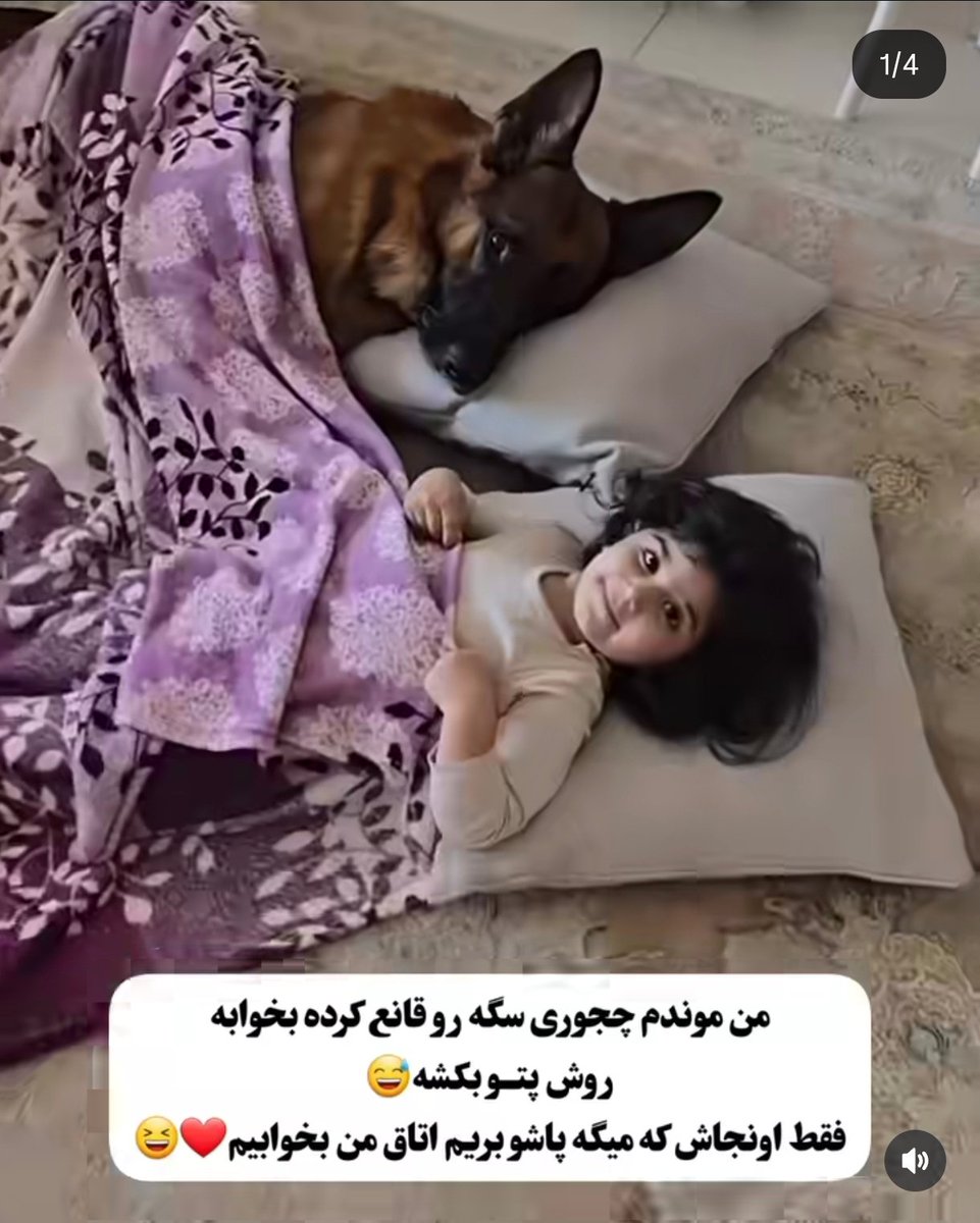 zeinaab banoo(mhjr)❤️☫💚 tweet media