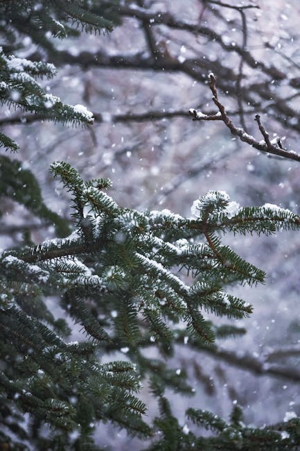 ISMPittsburgh's tweet photo. Happy Holidays from ISM-Pittsburgh!  We look forward to seeing you in 2026 as we embark on a new year of development and growth. https://t.co/l8CumVIbOU