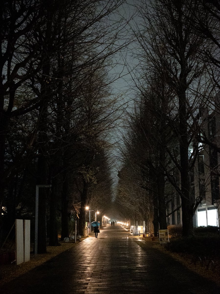 yudaimiwasaki's tweet photo. そして今年最後の駒場。いよいよ明後日が本番です。
近年は体調不良との戦いが多くなっていますが、出来ることも出来ないことも含めて、出来る限りのベストを尽くして終われるよう、最後まで粘りたい所存です。時間も手間もお金もかけた分だけ、記憶に残る、戦い抜いた体験をしてもらえるよう。 https://t.co/RE0yj7HFad