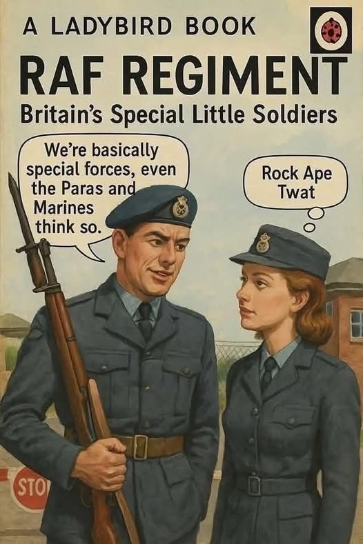 Sandford_Ambo's tweet image. Personally, @RAF_Luton, we thought this was a little harsh. We definitely didn't giggle.