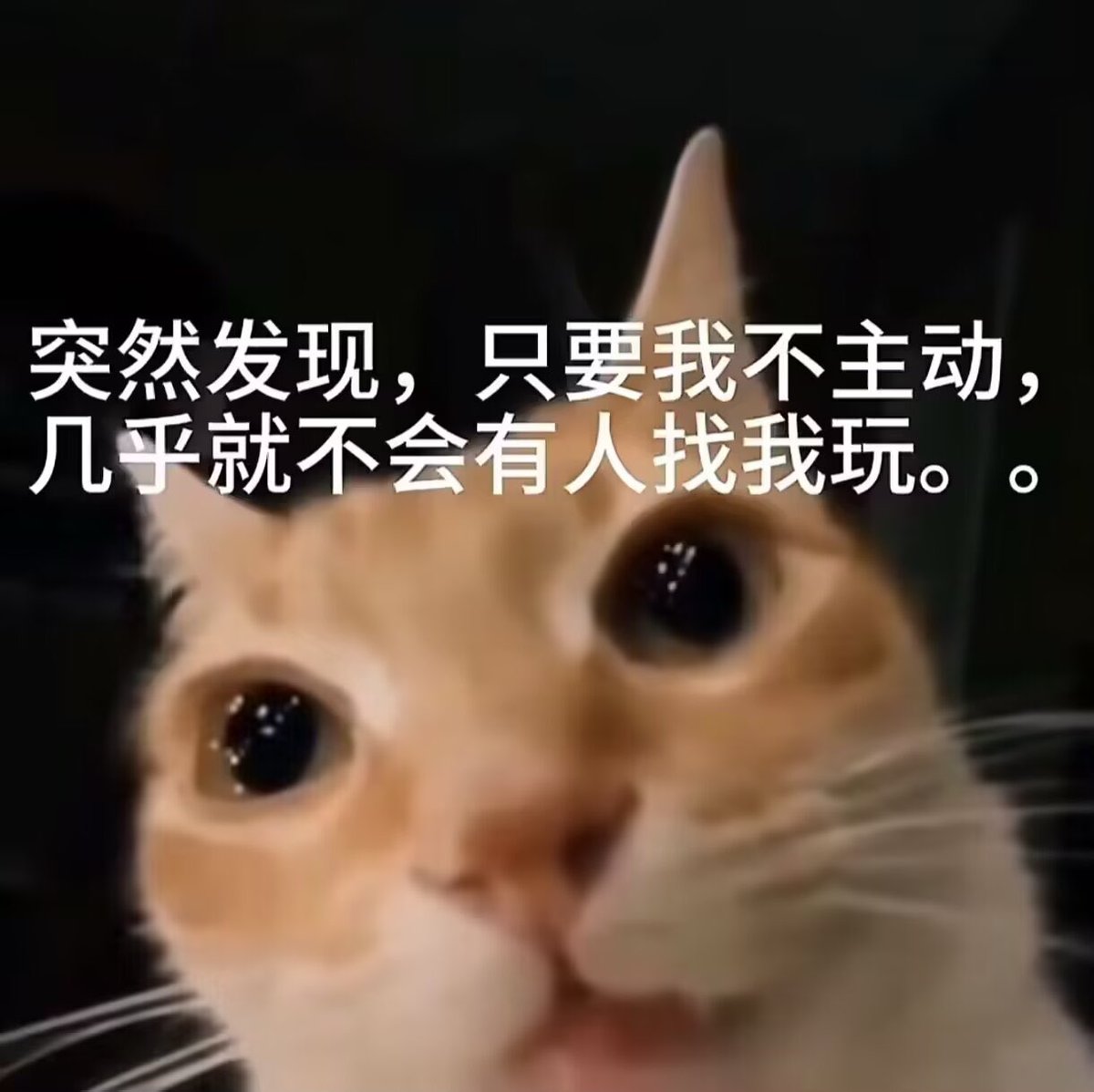 恋 tweet media