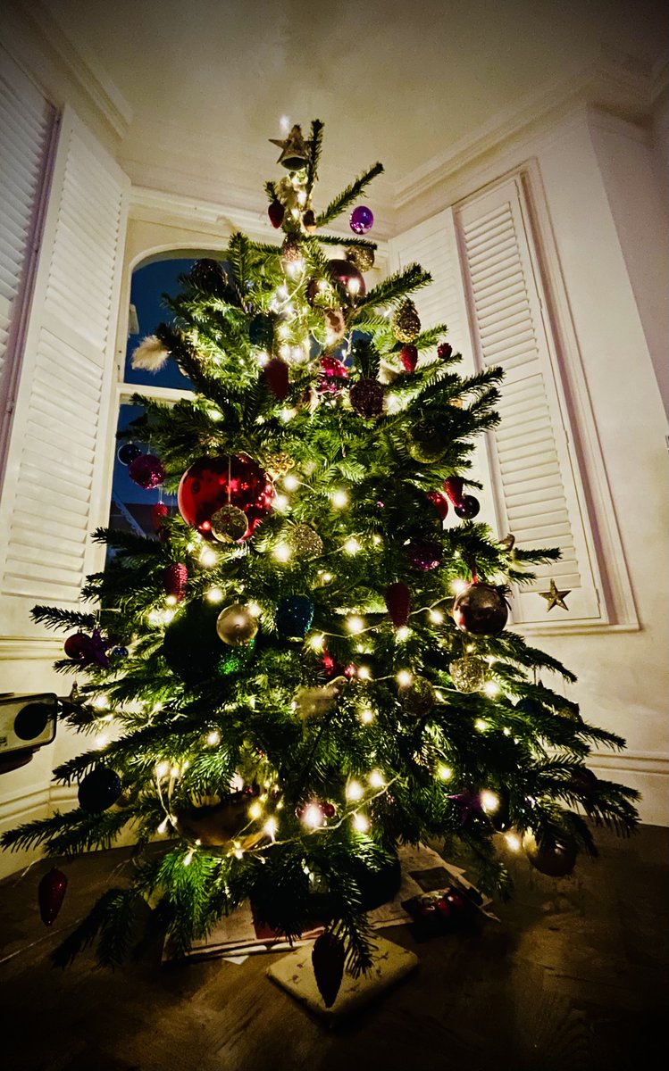 Christmas is 100% cancelled in our immigrant household