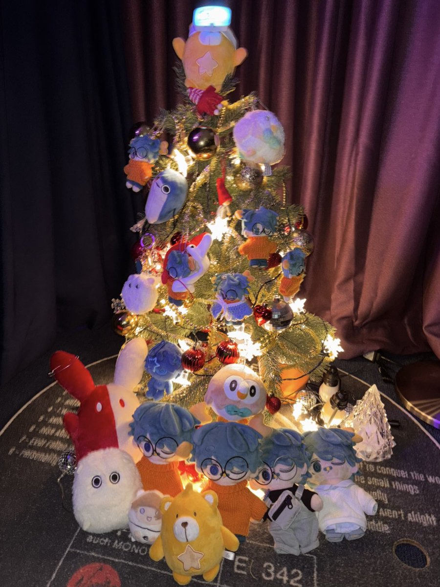 🎄2025 Eveの日(^-^)b🎄
#Eveの日 #いぶの日