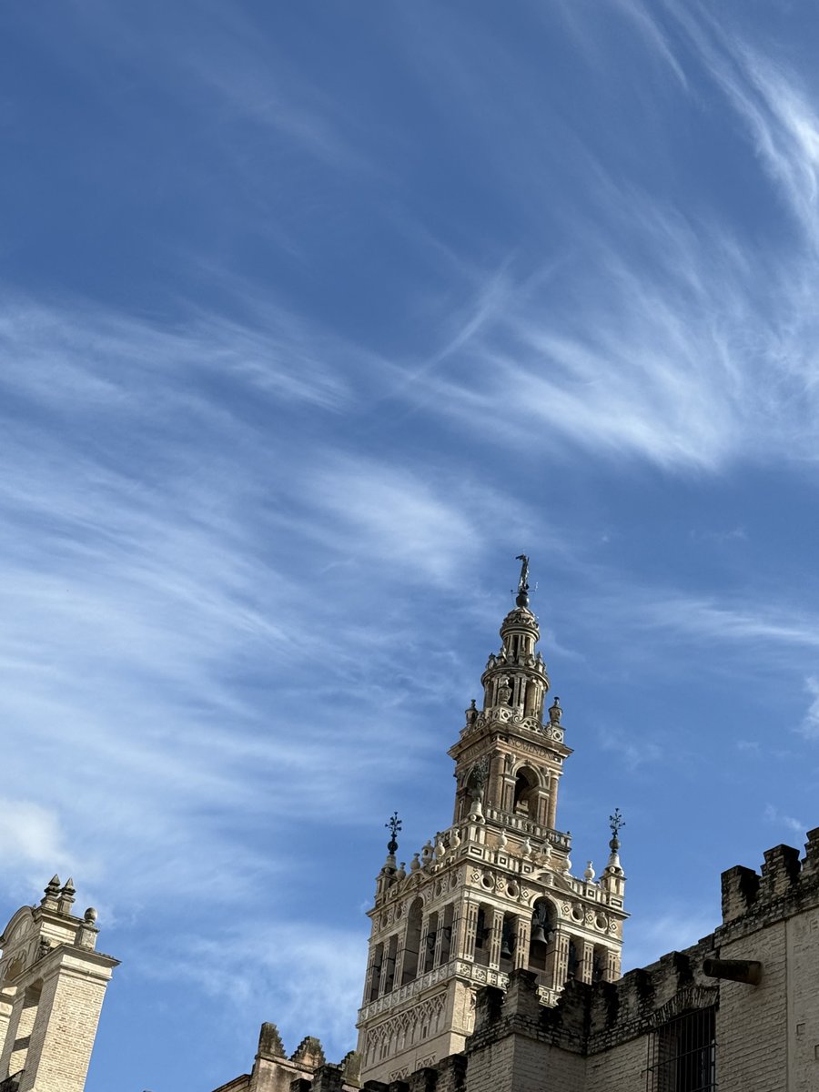 jm (@jalzatev) on Twitter photo 