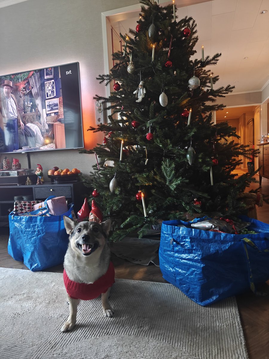 Ninalyset tweet media