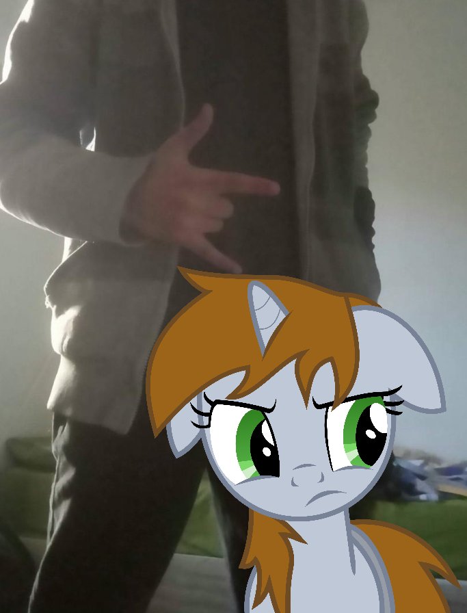 Bagunça tweet media