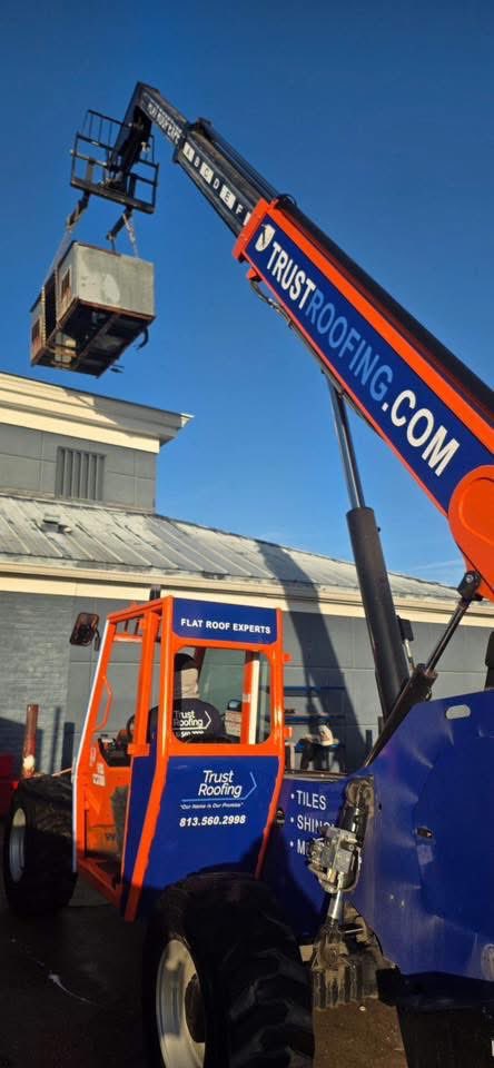 Robin Scherer tweet media