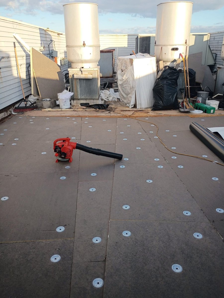 Robin Scherer tweet media