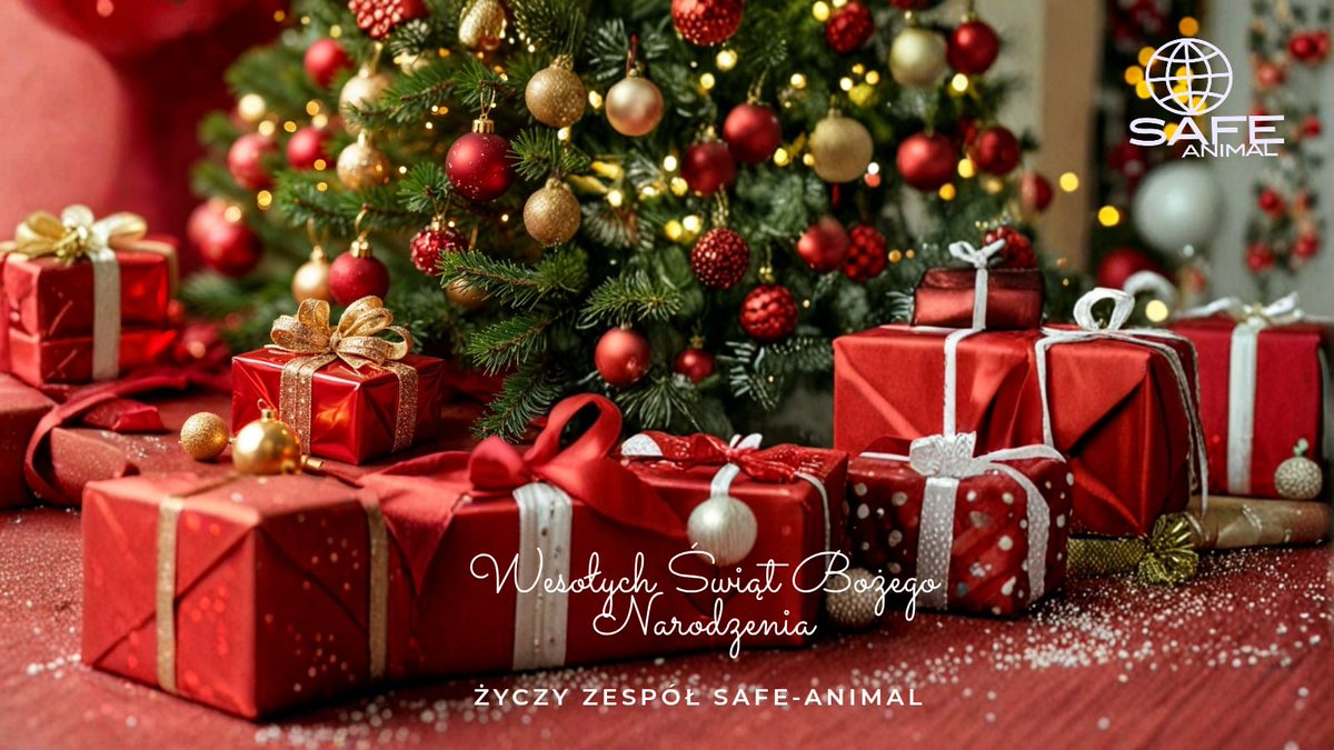 Z okazji Świąt Bożego Narodzenia życzymy Państwu iście magicznego czasu w gronie rodziny i bliskich, przeżytego w szczęściu, zdrowiu i radości. <a href="/Kwiatkowski2011/">Krzysztof Kwiatkowski</a> <a href="/donaldtusk/">Donald Tusk</a> <a href="/wlodekczarzasty/">Włodzimierz Czarzasty 📚📖</a> <a href="/KancelariaSejmu/">Sejm RP🇵🇱</a> <a href="/PolskiSenat/">Senat RP  🇵🇱</a> <a href="/prezydentpl/">Kancelaria Prezydenta RP</a>