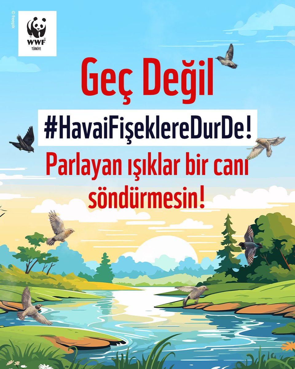 🎇❗Gökyüzünü aydınlatan havai fişek kutlamaları, yeryüzündeki yaşama zarar veriyor.

🐦  Eğlence ve kutlama etkinliklerinde sıkça kullanılan havai fişekler birçok canlı için ciddi bir tehdit oluşturuyor.

🪶 Havai fişekler patladığında ortaya çıkan plastik ve kimyasal atıklar