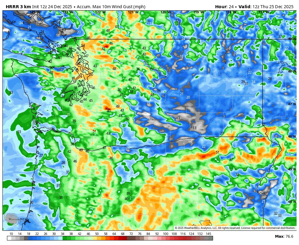 Matthew Pfab tweet media