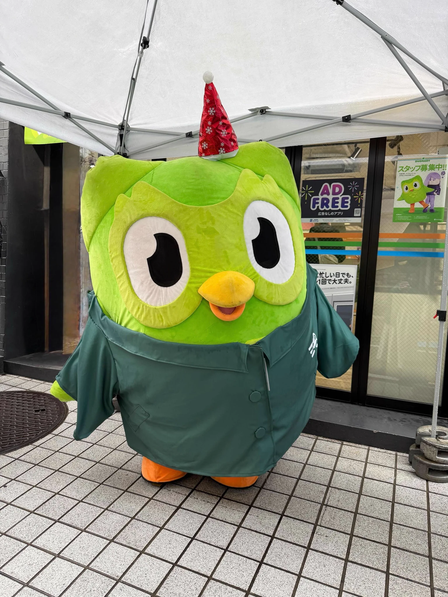 Duolingo(デュオリンゴ) | 日本公式🇯🇵 on X: 