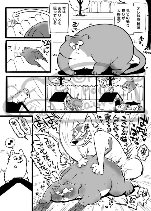 pixivFANBOXで🐿️と🐱を公開しました! https://t.co/6dfiBqaKHk

🐿️×🐱とモブ×🐱
🐱&amp;🐭パロ 