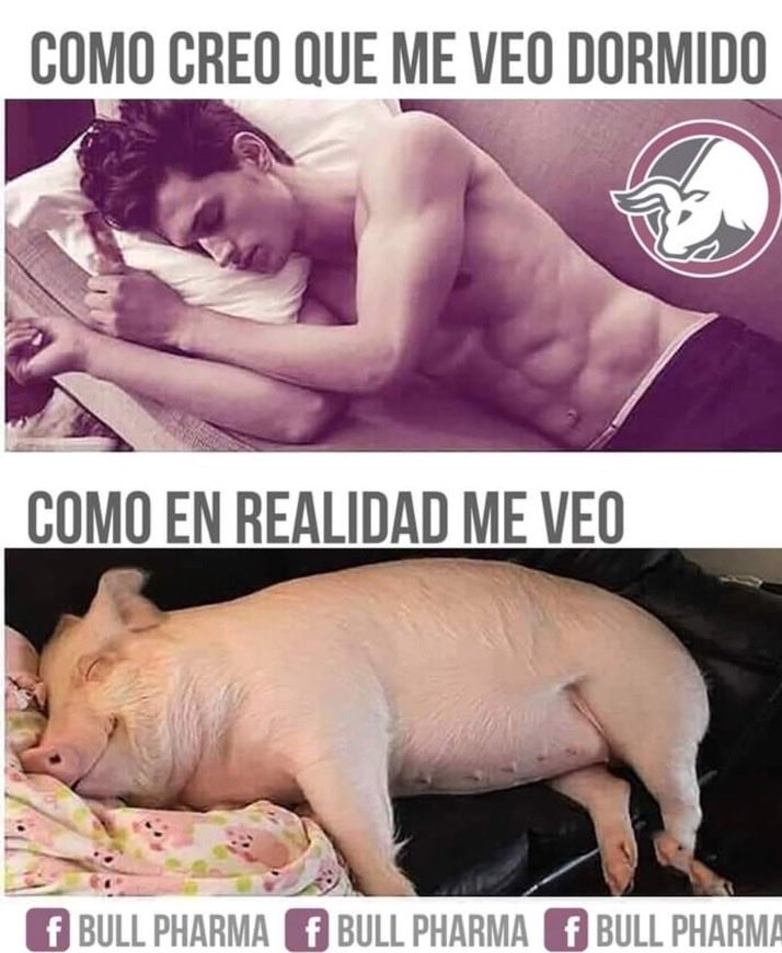 frferrerm's tweet image. Ya se