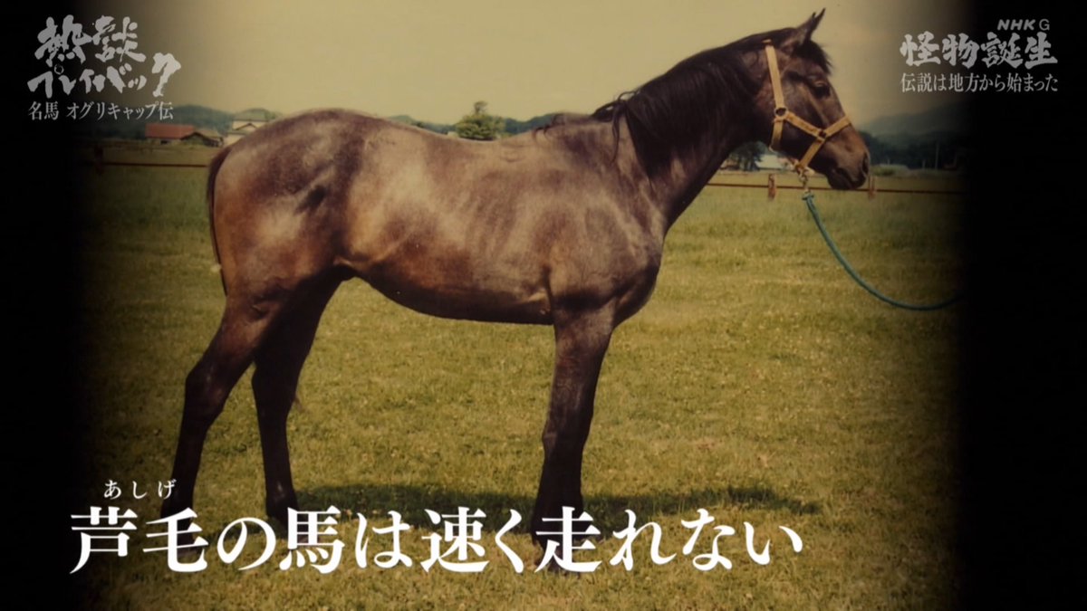 dragoner＠2日目 西あ47ab (@dragoner_JP) / Posts / X