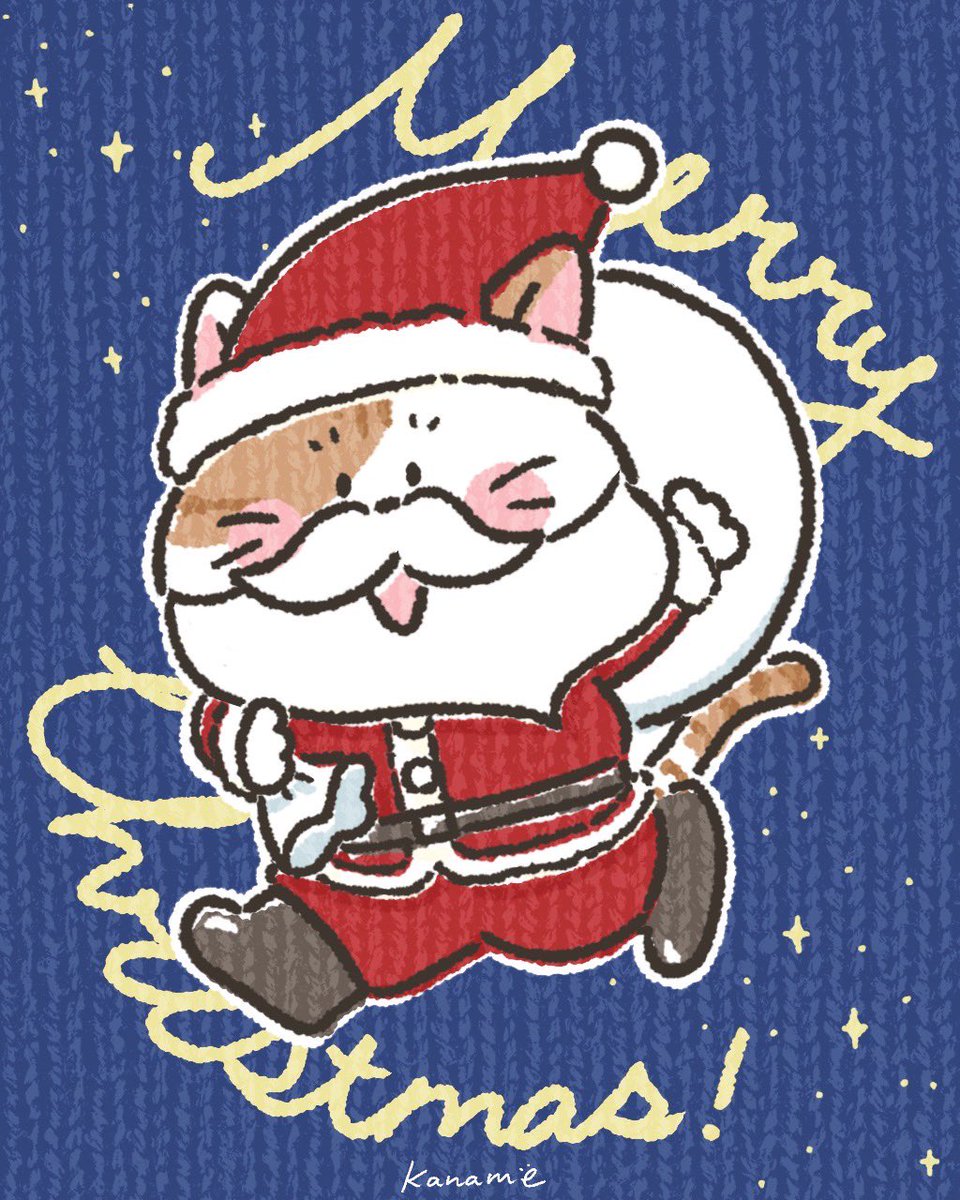 メリークリスマス🎄！ かなめ猫サンタからプレゼント🎁(お知らせ)です