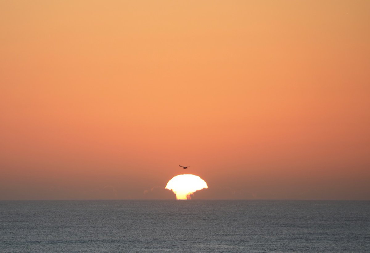 The Surf Station tweet media