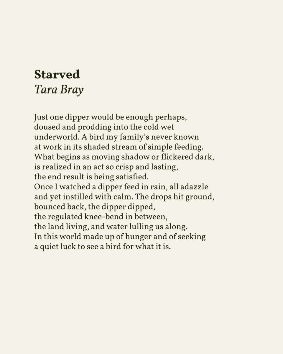 readalittlepoem's tweet image. “In this world made up of hunger and of seeking / a quiet luck to see a bird for what it is.”

— Tara Bray

.
.
.

This poem appeared in The Hudson Review, Summer Issue, 2015. Shared here with deep gratitude.