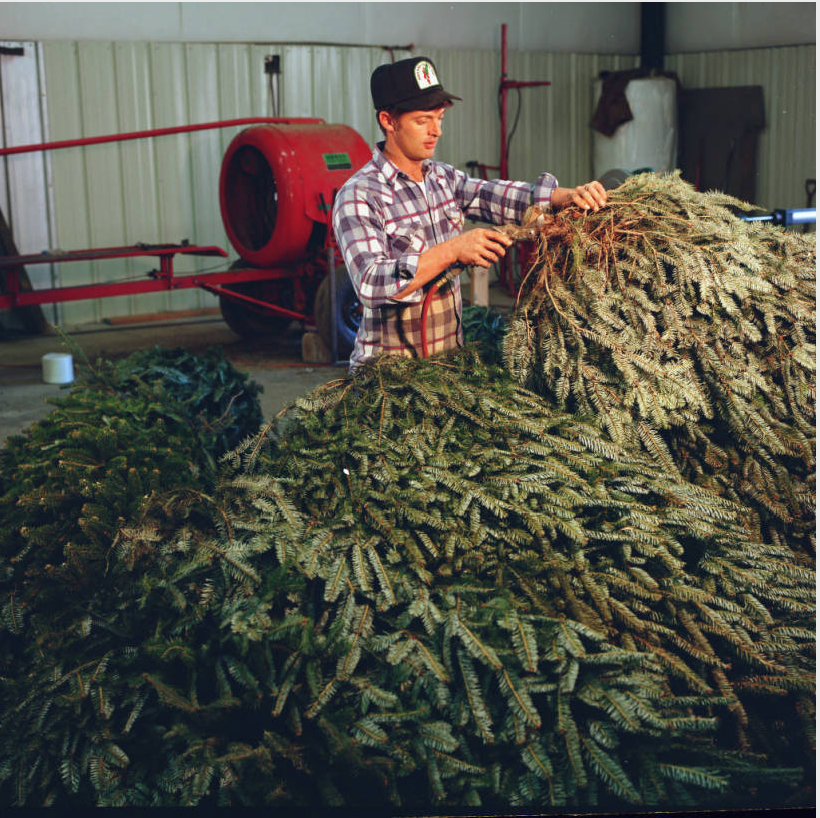 UNC Library tweet media