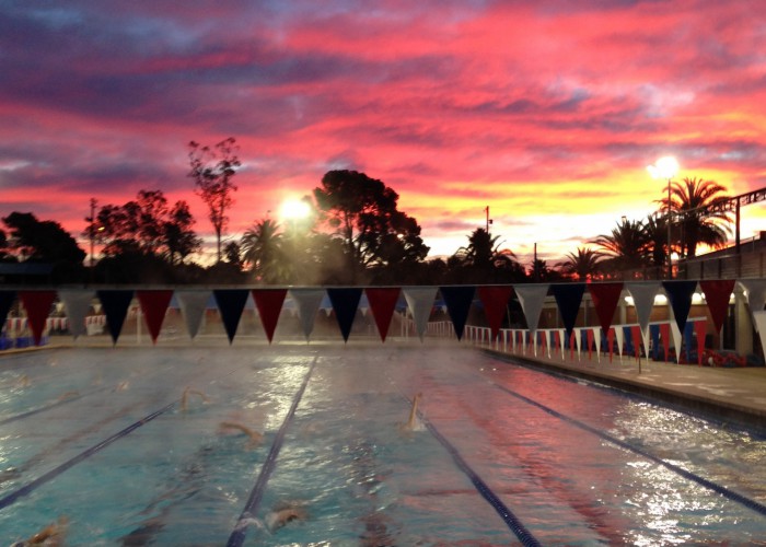 SwimmingWorld's tweet photo. Dear Holiday Training: A Letter From a Swimmer to the Heavy Work of the Season - https://t.co/ezKLuHugYU https://t.co/5UhrCTV5eR
