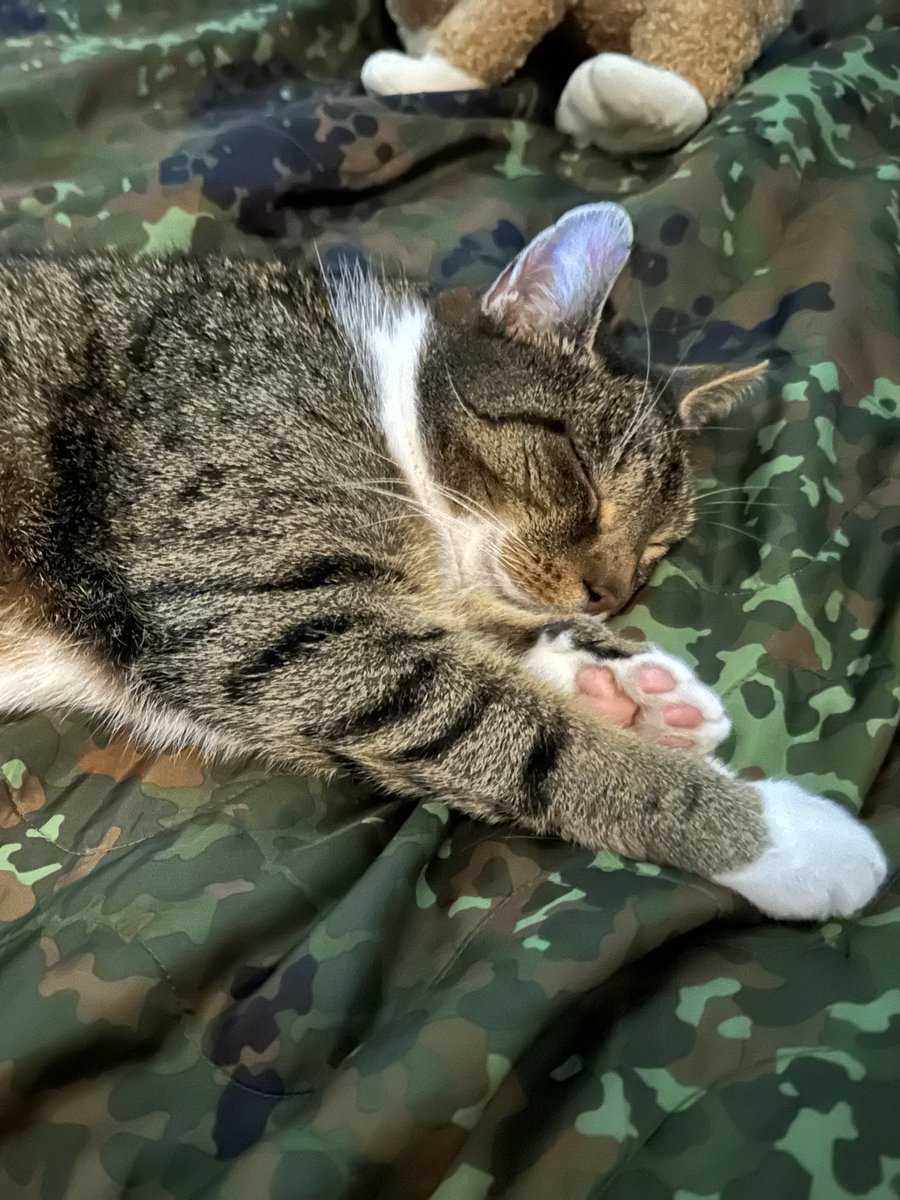 Jessica Ritter tweet media