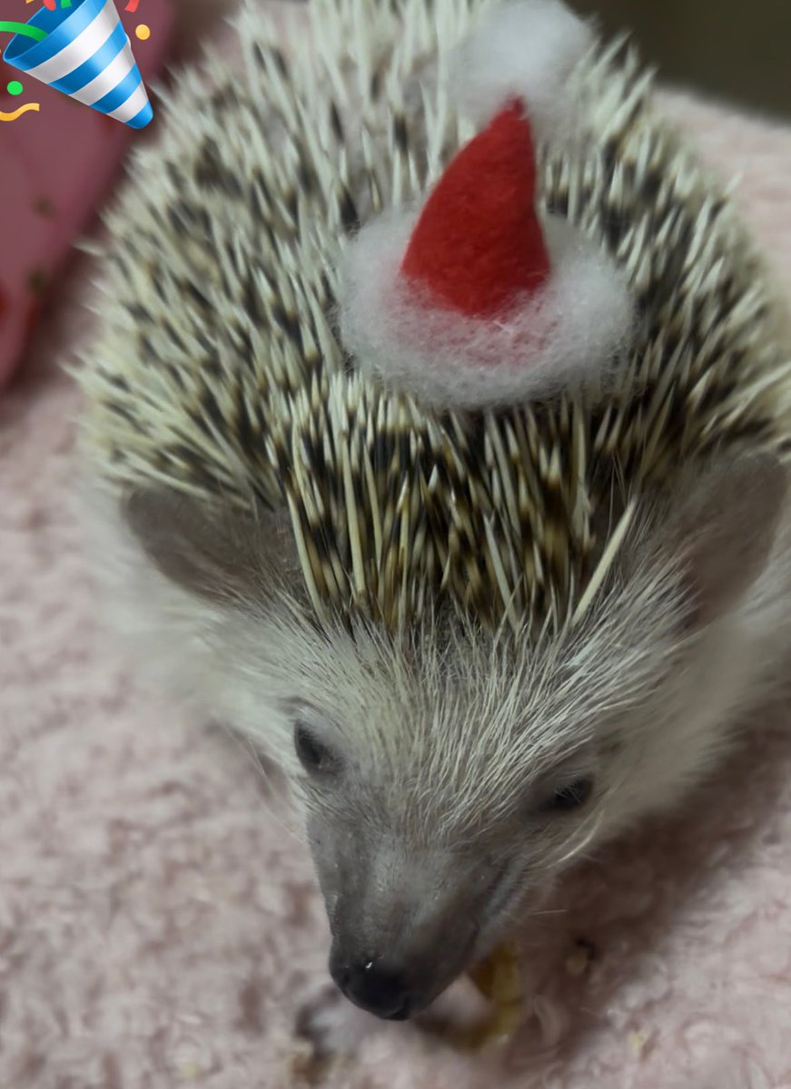 nachuさん skeb #commission #illustration #ファッションイラスト