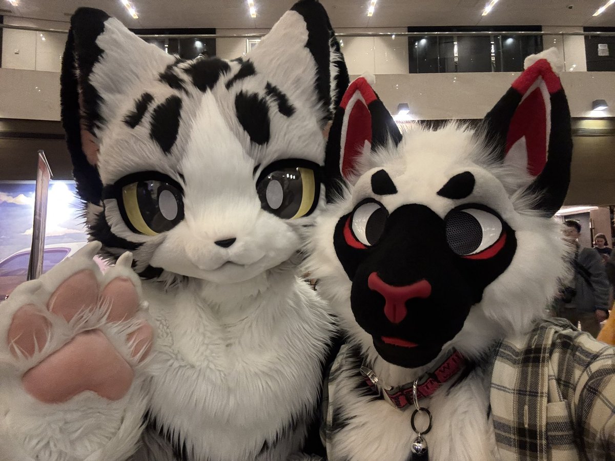 SolarisXTempest's tweet photo. @CheeseCat_fur 你好! 和你拍了些照片！冬兽聚真的太好玩了 🤩 https://t.co/Cl4FwgZjyK