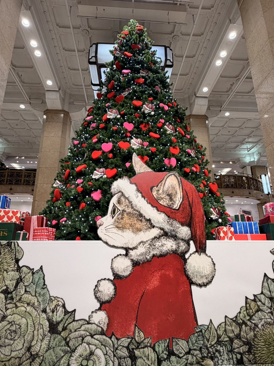 ♡KEIKO2ページ♡ KEIKO ソロ初となる映像パッケージ「KEIKO Live K002 ＊＊Lantana