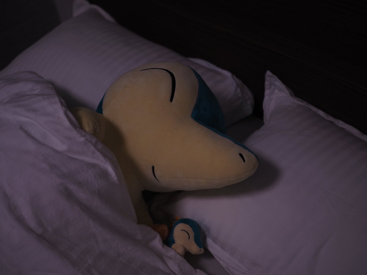 real_cyndaquil_'s tweet image. 