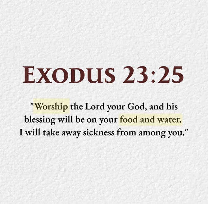 Bible365_'s tweet image. 