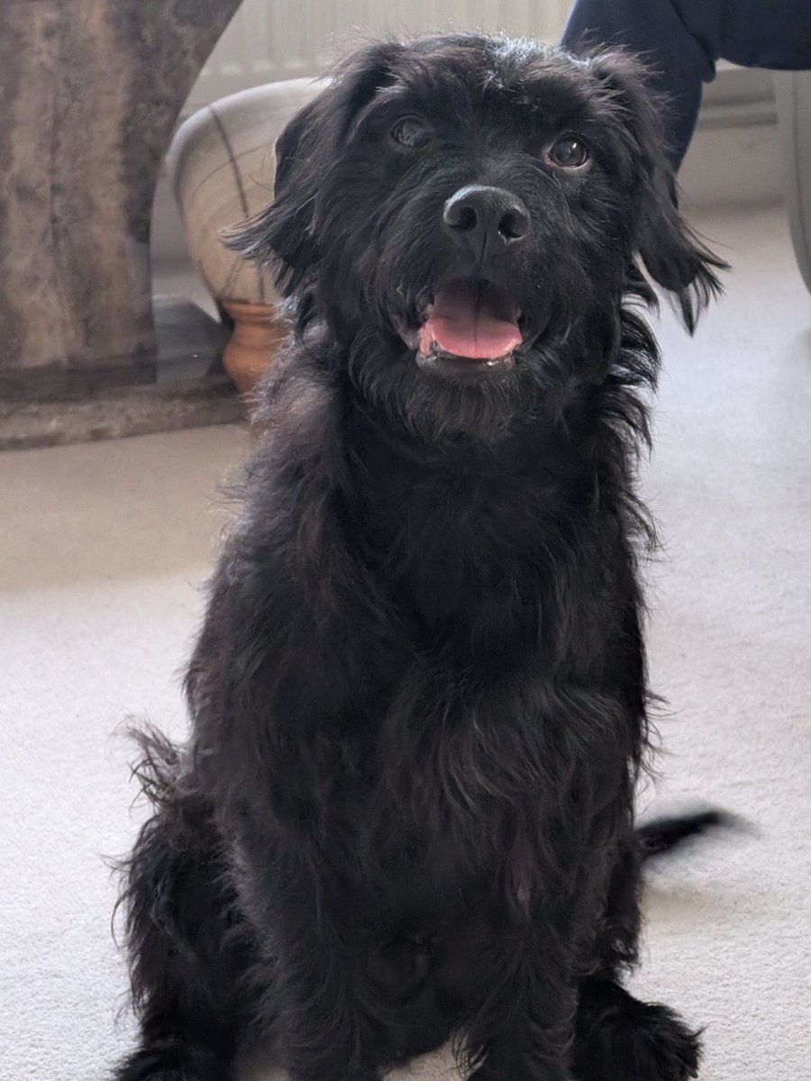 👑Chidi 🐕 tweet media