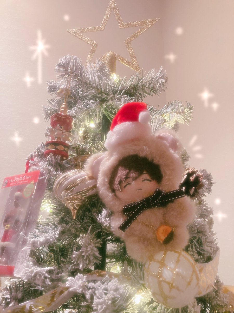 レオぬとメリクリ～🎄.*
来年はステぬも一緒に過ごせたらイイネ…ッ