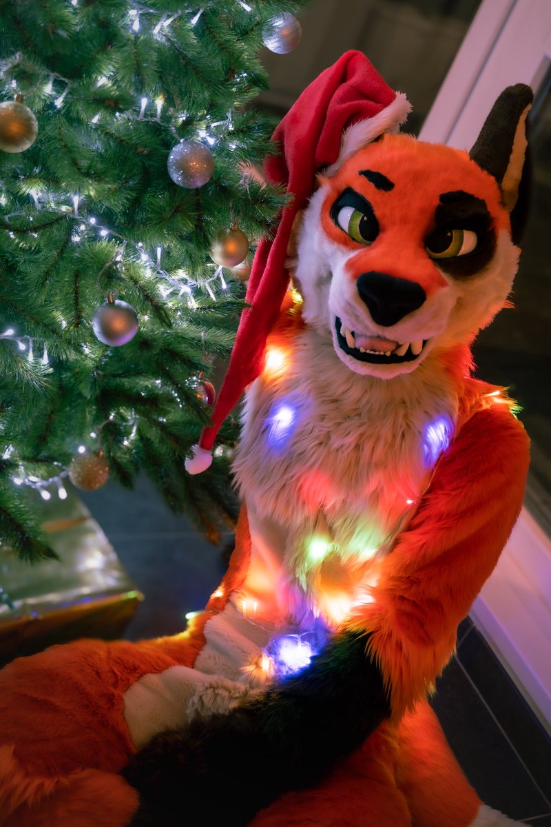 ᴹʳᶠᵒˣᵉᵉˢ ➡️ Faun tweet media