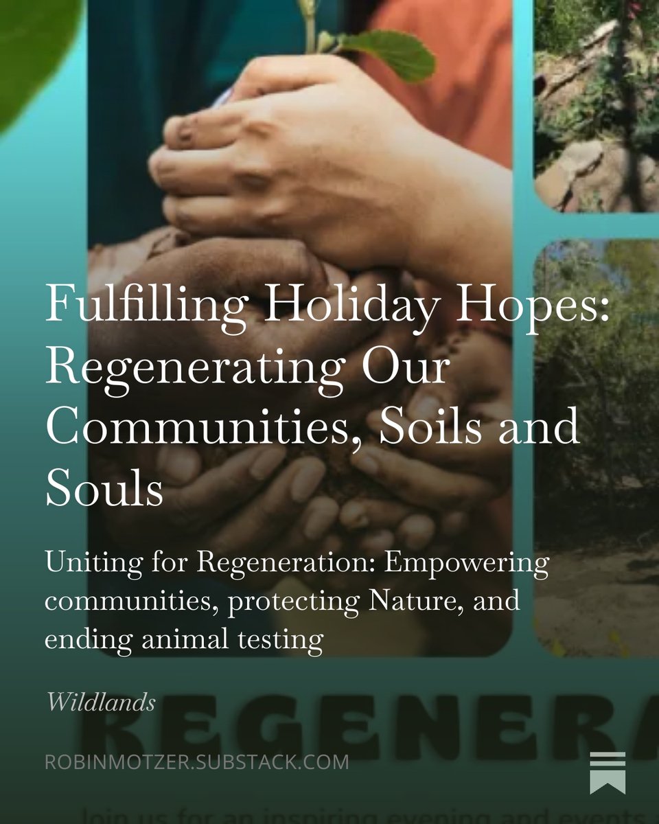 RobinMotzer's tweet image. Fulfilling Holiday Hopes: Regenerating Our Communities, Soils and Souls , by @RobinMotzer open.substack.com/pub/robinmotze…