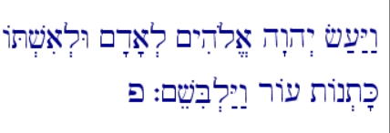 This is the quote where proponents of Divine Abuse claim it all started. But what if God just covered Adam and Eve with garments of human skin?