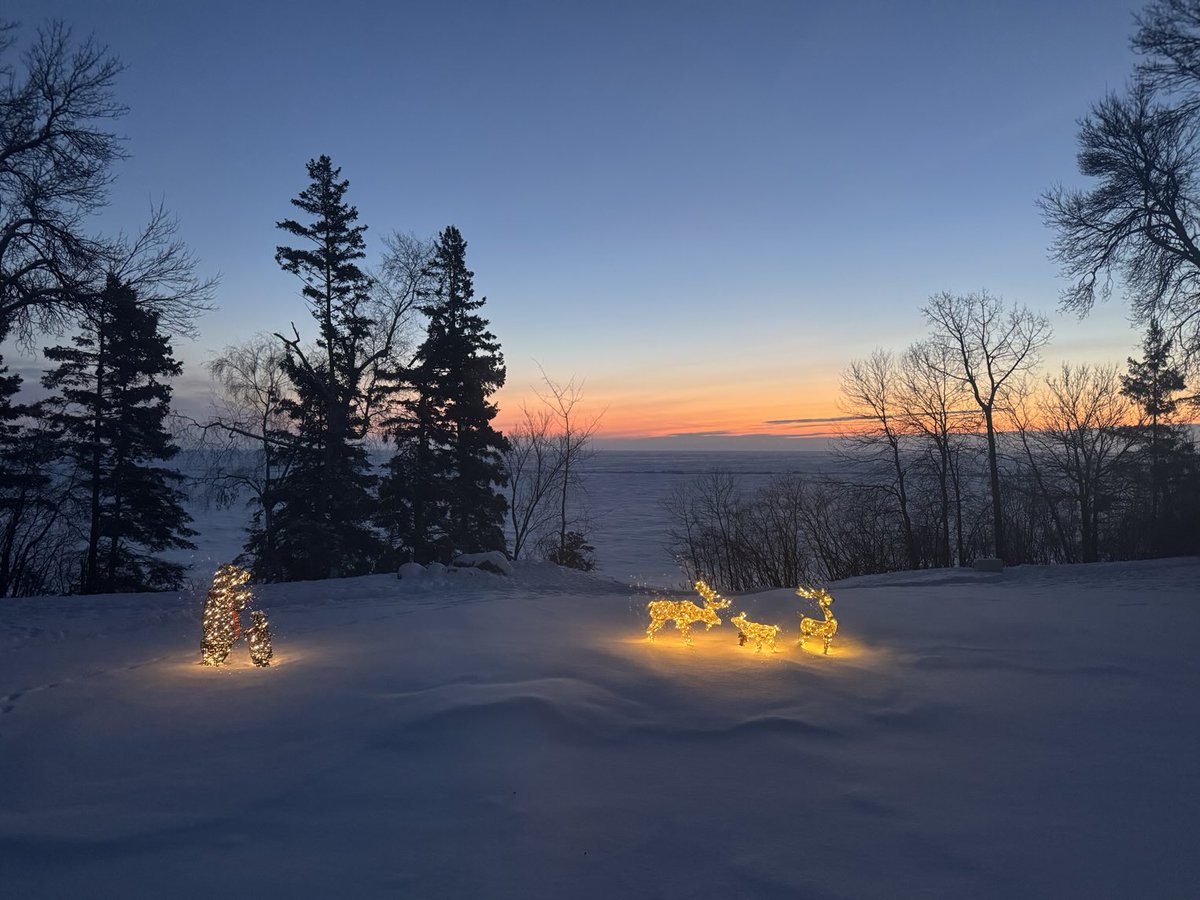 🇨🇦Annex🇺🇦 tweet media