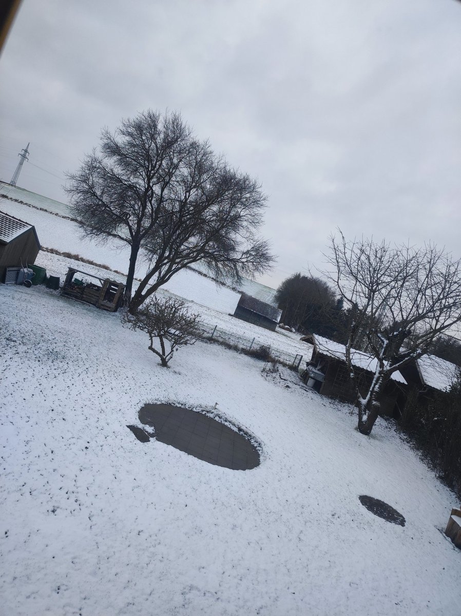 Pünktlich zum 24. Schnee! Frohe Weihnachten :3