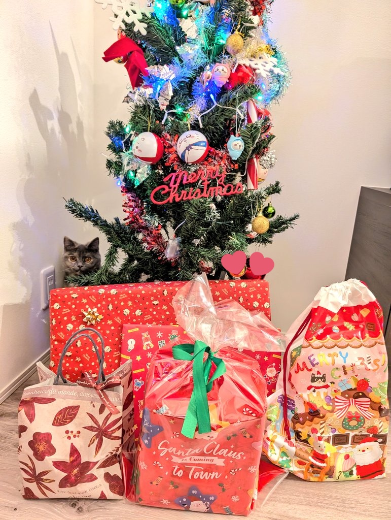 ひぃまろ (@himaro1111) / Posts / X