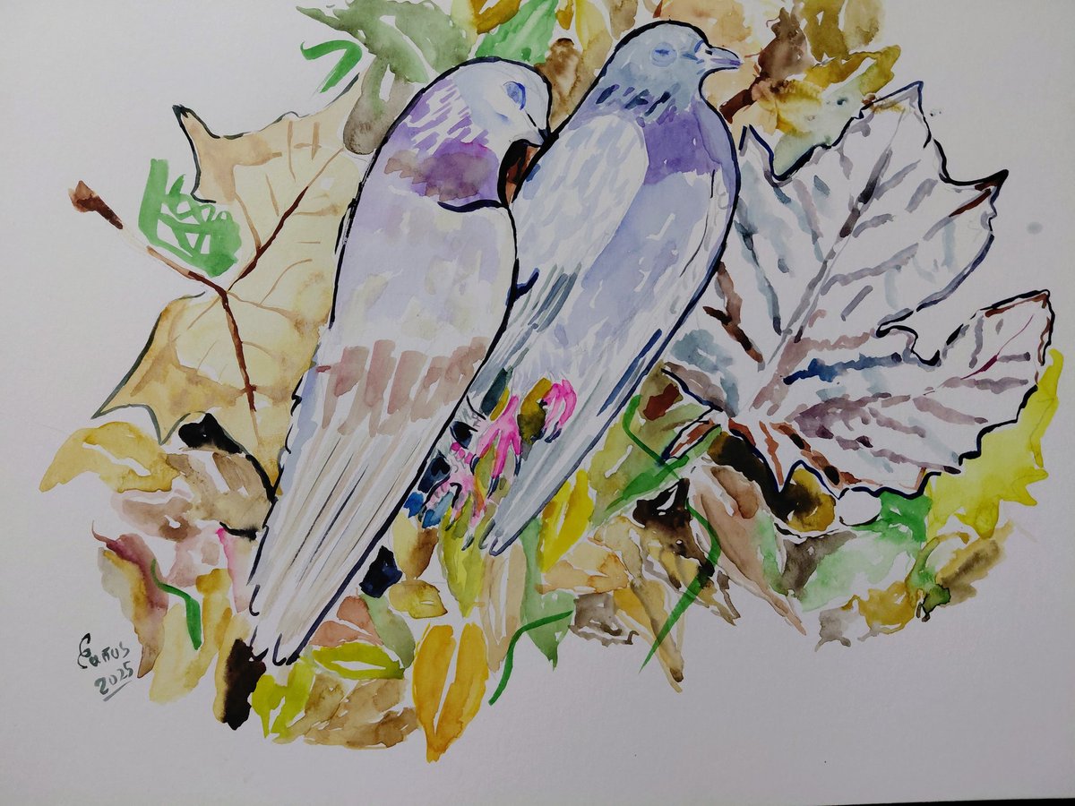 Acuarela sobre papel Canson
#FelizNavidad 
Jesùs vino para reconciliar lo imposible en tì y en mì
No vino con regalos, porque Jesùs es el regalo, es la gracia de la salvaciòn
Pues un dìa tu y yo no estaremos, como estas palomitas
Navidad es que por amor Dios vino
#acuarela #art